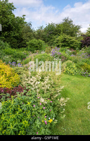 Schöne englische Landschaftsgarten im Hochsommer. Eine Fülle von gemischten Bepflanzung mit verschiedenen Sträuchern und Stauden. Stockfoto