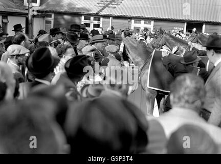 Pferderennen - Lingfield Park Stockfoto