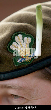 Queen stellt Lauch Soldaten am St. Davids Tag Stockfoto