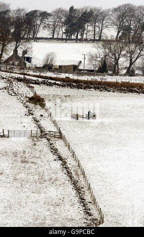 Ein Bauer füttert seine Schafe nach Schneefall in den Hügeln bei Denny, Schottland. Stockfoto