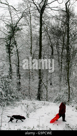 Eine Frau geht mit ihrem Hund im Schnee um die Rotunda Woods in Ironbridge in der Nähe von Telford, Shrophire. Stockfoto
