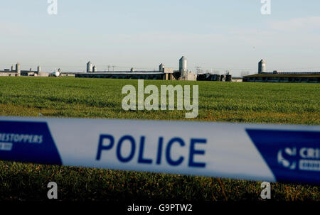 Die Polizei verschließt das Gebiet um eine Bernard Matthews turkey Farm in Holton, Suffolk, nach einem vermuteten Ausbruch der Vogelgrippe. Stockfoto