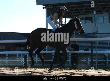 Pferderennen - Southwell Racecourse Stockfoto