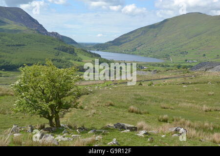 Ein Tal in Snowdonia-Nationalpark, Wales Rhyd Ddu Weg entnommen. Stockfoto