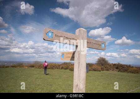 Ein Wanderer auf der South Downs in East Sussex Stockfoto