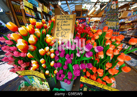 Souvenir aus Holz Tulpen Blumen zum Verkauf außerhalb ein Souvenirladen