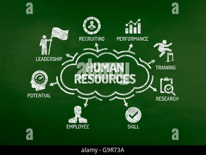 Human Resources-Diagramm mit Keywords und Symbole auf Tafel Stockfoto