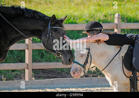 Mädchen mit Pferden, deutschen Warmblut und Shetlandpony / Reiten Helm Stockfoto