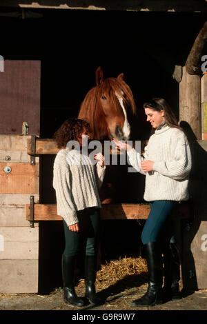 Mädchen mit südlichen deutschen Tiefgang Pferd Stute / stabil Stockfoto