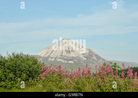 Blick auf Mount Errigal aus Gweedore, County Donegal, Irland Stockfoto