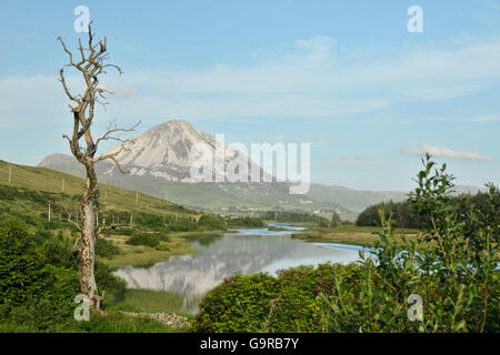 Blick auf Mount Errigal aus Gweedore, County Donegal, Irland / Clady River Stockfoto