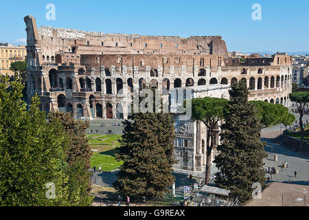 Blick vom Palatin-Hügel am Kolosseum und Konstantinsbogen, Rom, Latium, Italien / Amphitheatrum Novum, Amphitheatrum Flavium, Amphitheater und Triumphbogen Stockfoto
