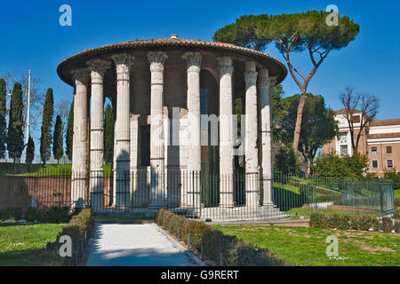 Tempel des Hercules Victor Olivario, Tempel der Vesta, Roundtemple, Forum Boarium, Rom, Latium, Italien Stockfoto