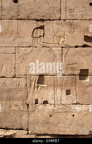 Antiken Gott der Fruchtbarkeit Amun-Min, Phallus, Basrelief, Granit, Luxor-Tempel, Theben, Luxor. Ägypten Stockfoto