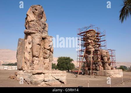 Kolosse von Memnon, Restauration, West-Theben, Luxor, Ägypten Stockfoto