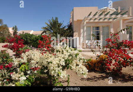 Hotel Bungalow, el-Guna, Ägypten Stockfoto