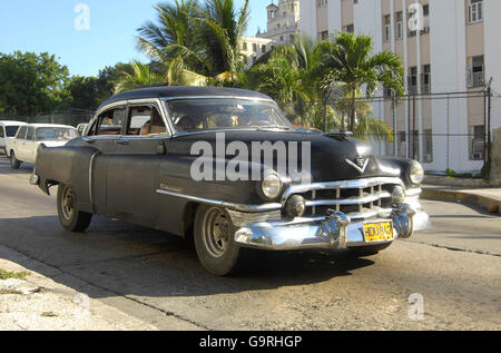 Cadillac, Oldtimer, Oldtimer, Havanna, Kuba Stockfoto
