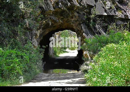 Tunnel durch den Fels Hand gegraben, während dem 19. Jahrhundert auf der alten Grafton Straße zwischen Glen Innes und Grafton in new-South.Wales Stockfoto