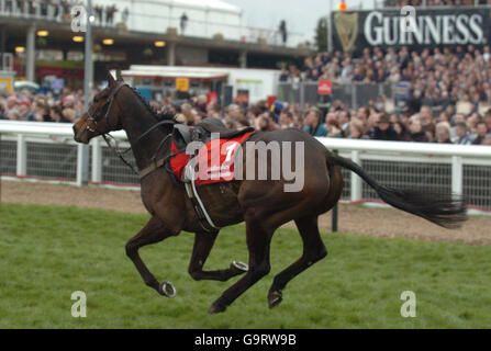 Black Jack Ketchum läuft vor den Ständen frei, nachdem er sich während der Ladbroke World Hurdle (Klasse 1) am dritten Tag des Cheltenham Festivals auf der Pferderennbahn Cheltenham von der Firma mit dem Jockey Tony McCoy verabschiedet hat. Stockfoto