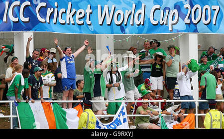 Irland-Fans jubeln während des ICC Cricket World Cup 2007, Gruppe C Spiel gegen Pakistan im Sabina Park, Kingston, Jamaika. Stockfoto