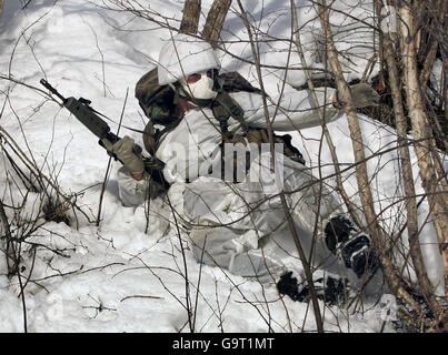 Royal Marine Reserve Commandos aus ganz Großbritannien in Vinje, Südnorwegen, wo sie einige der weltweit härtesten Winter Kampftraining als Teil der Übung Haarspring unterziehen. Stockfoto