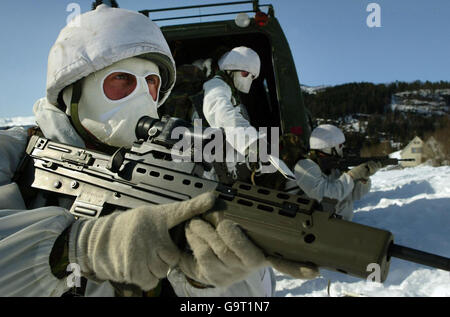 Royal Marine Reserve Commandos aus ganz Großbritannien in Vinje, Südnorwegen, wo sie einige der weltweit härtesten Winter Kampftraining als Teil der Übung Haarspring unterziehen. Stockfoto