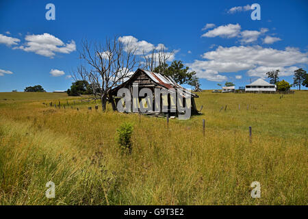 farm barn in derelict condition leaning on tree next to the pacific highway near grafton in the clarence valley, new south wales Stockfoto