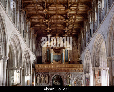 St. Davids Kathedrale zeigt Interieur des Schiffes: Holzdecke, Lichtgaden, N & S Arkaden, Naturstein-Bildschirm (Pulpitum), Rood & Orgel. Stockfoto