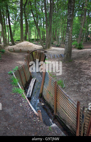 Ersten Weltkrieg Gräben im Heiligtum Wood in Belgien. Stockfoto