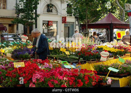 Markt, Blumenhändler, Blumen. Paul Riquet Street in Beziers, Languedoc-Roussillon, Occitanie, Frankreich. Stockfoto