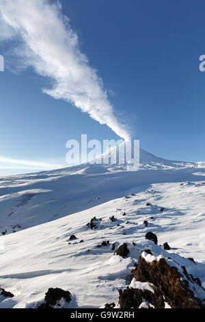 Winter-Vulkanlandschaft der Kamtschatka: Ausbruch aktiv Klyuchevskoy Volcano in klares Wetter, sonnigen Tag. Russischen Fernen Osten. Stockfoto