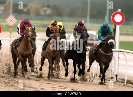 Pferderennen Sie-Wolverhampton Rennen Stockfoto