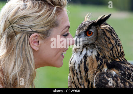 Balmoral Landwirtschaftsausstellung Stockfoto