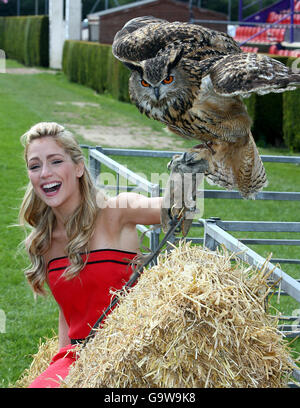 Balmoral Landwirtschaftsausstellung Stockfoto