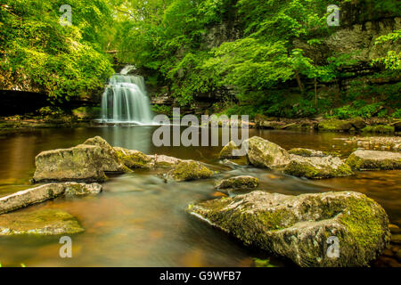 Kessel ist ein Wasserfall auf Walden Beck nahe dem Dorf West Burton Yorkshire uk Stockfoto