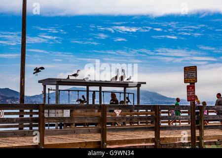 Segelboote, Strand und Piers Avila Beach Kalifornien entlang der Küste Stockfoto