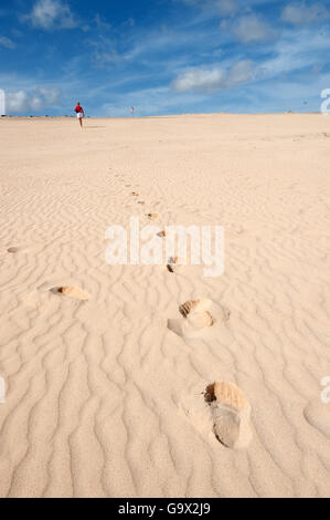 Spuren im Sand Dune, Fuerteventura, Kanarische Inseln, Spanien, Europa Stockfoto