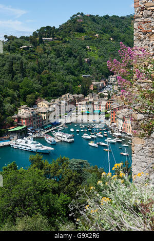 Blick vom Castello Brown in Portofino Hafen von Portofino, Ligurien, Italien, Europa / Portofino Stockfoto