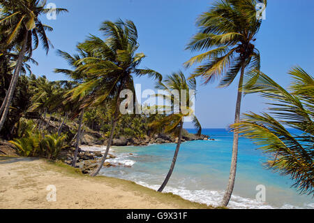 Strand, Küste, Insel von Hispaniola, Sosua, Dominikanische Republik, Karibik, Amerika Stockfoto