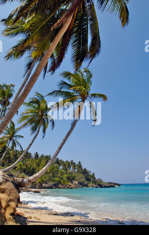 Strand, Küste, Insel von Hispaniola, Sosua, Dominikanische Republik, Karibik, Amerika Stockfoto