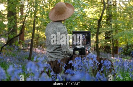 Technologie in Aktion: sofortige Bildgebung in einem Feld von Bluebells. Stockfoto