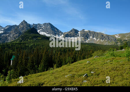 Wiese, Berge und Bäume im Gasienicowa-Tal im Tatra-Gebirge in der Nähe von Zakopane in Polen Stockfoto