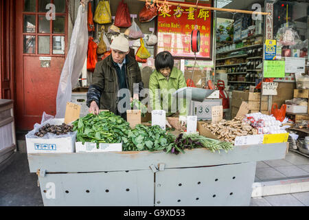 ältere Menschen chinesisches Ehepaar tendenziell ihre Gemüse stall auf Mott Street Bürgersteig vor bunten Mama & pop Gemischtwarenladen Chinatown Stockfoto