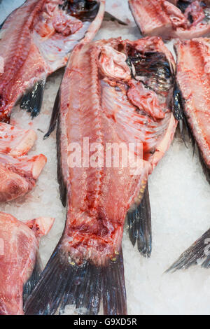 frischer Fischkopf abgeschnitten & Länge aufplatzen, Eingeweide liegt auf Eis in Manhattan Chinatown Fischmarkt zu offenbaren Stockfoto