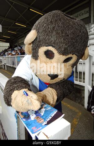 Fußball - Coca-Cola Football League Two - Hartlepool United gegen Bristol Rovers - Victoria Park Stockfoto