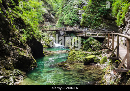 Vintgar-Schlucht, Slowenien Stockfoto