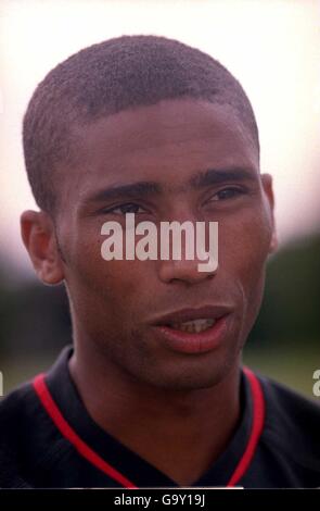 Fußball - FA Carling Premiership - Fulham Stockfoto