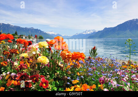 Sommer Blick auf blühende Blumen in Genfersee, Schweiz Stockfoto