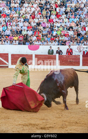 Andujar, Spanien - 12. September 2008: Der spanischen Stierkämpfer Sebastian Castella Stierkampf mit der Krücke in der Stierkampfarena Stockfoto