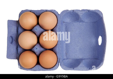 Eiern im Eierkarton Stockfoto